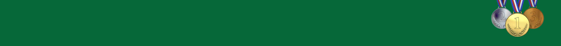 Turnaj ve vybíjené